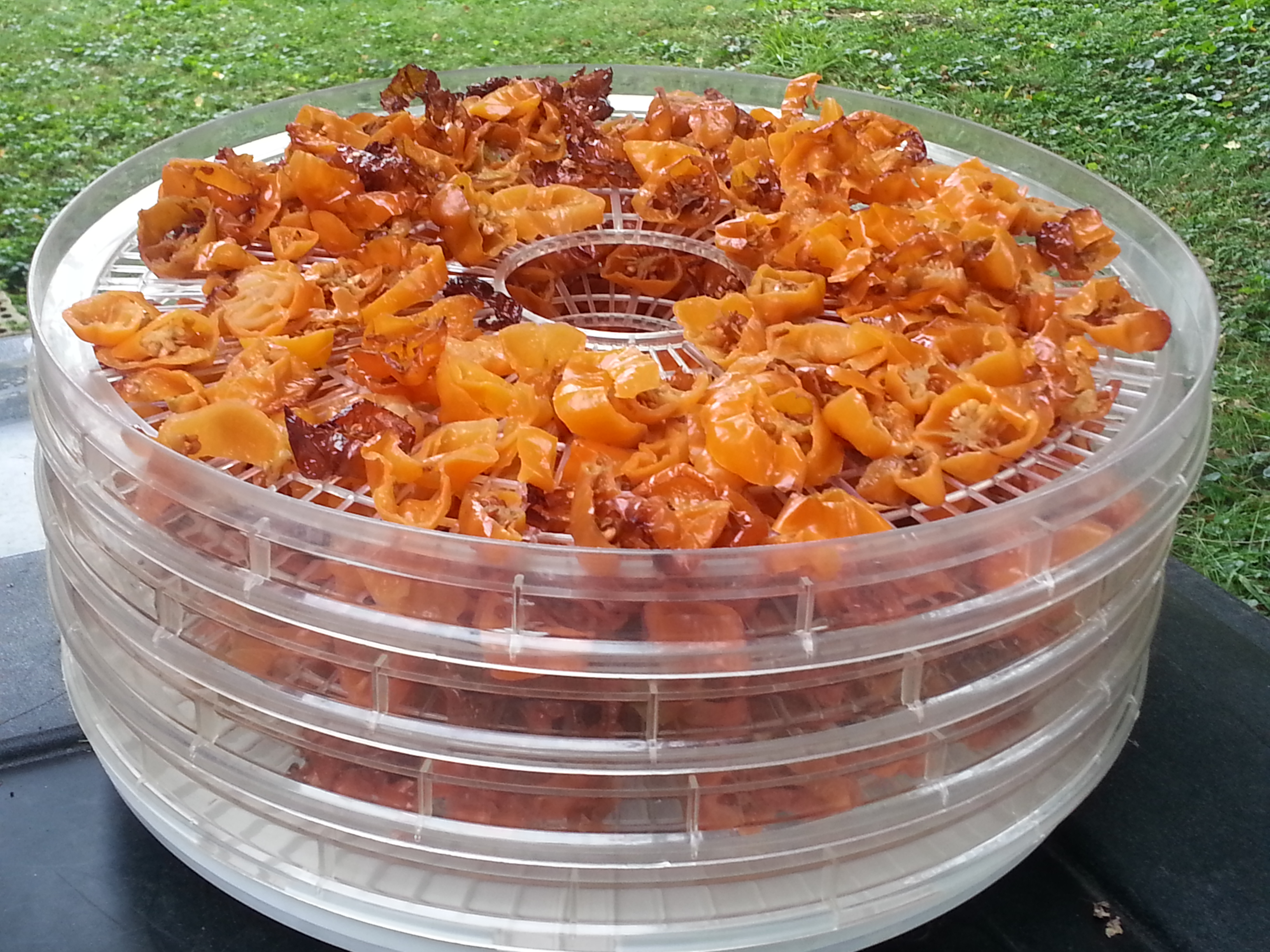 Food photo from September 16 2013